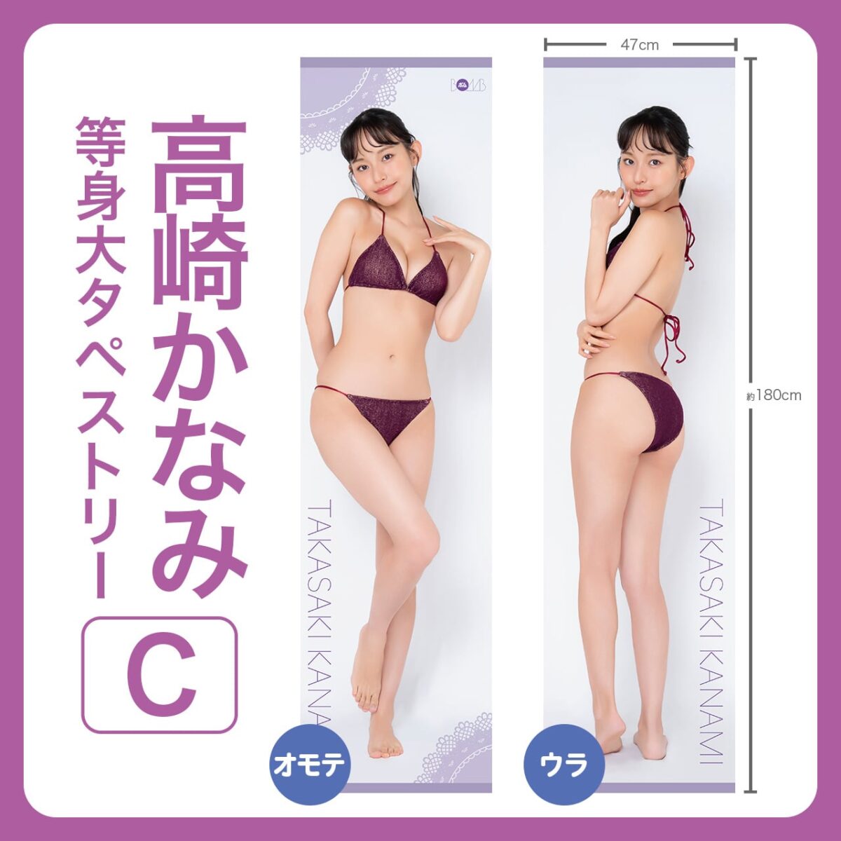 高崎かなみ等身大タペストリー【C】