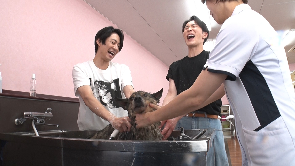 『嗚呼!!みんなの動物園2時間SP』