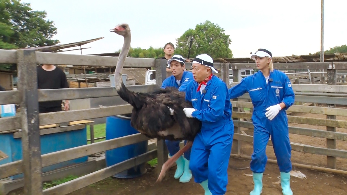 『地球まるごと大実験 ネイチャーティーチャー』