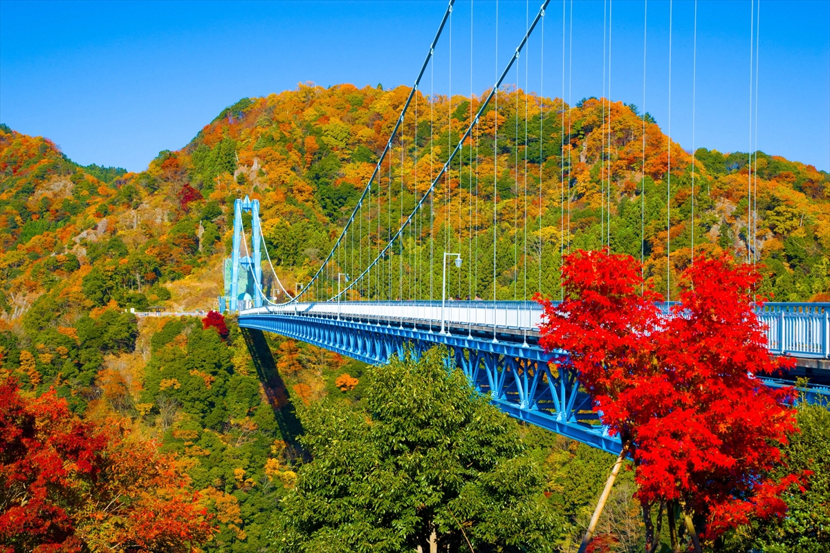 『探せ!未確認Z景2』