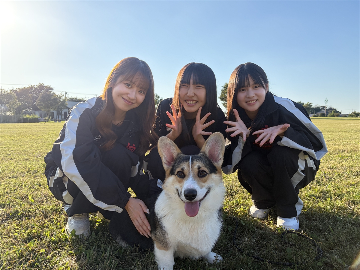 『モーニング娘。'26のちょっと大人になったので確かめにいきます。』